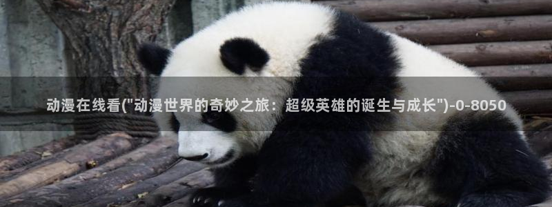 91动漫：动漫在线看(\