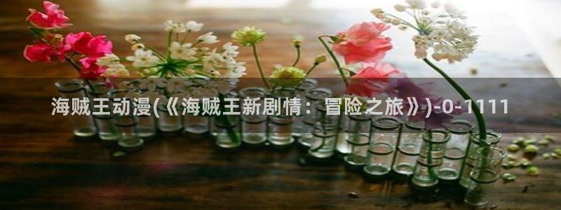 城市猎人动漫：海贼王动漫(《海贼王新剧情：冒险之旅》)
